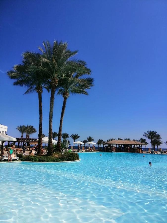 Queen Sharm Italian Club Esterno foto