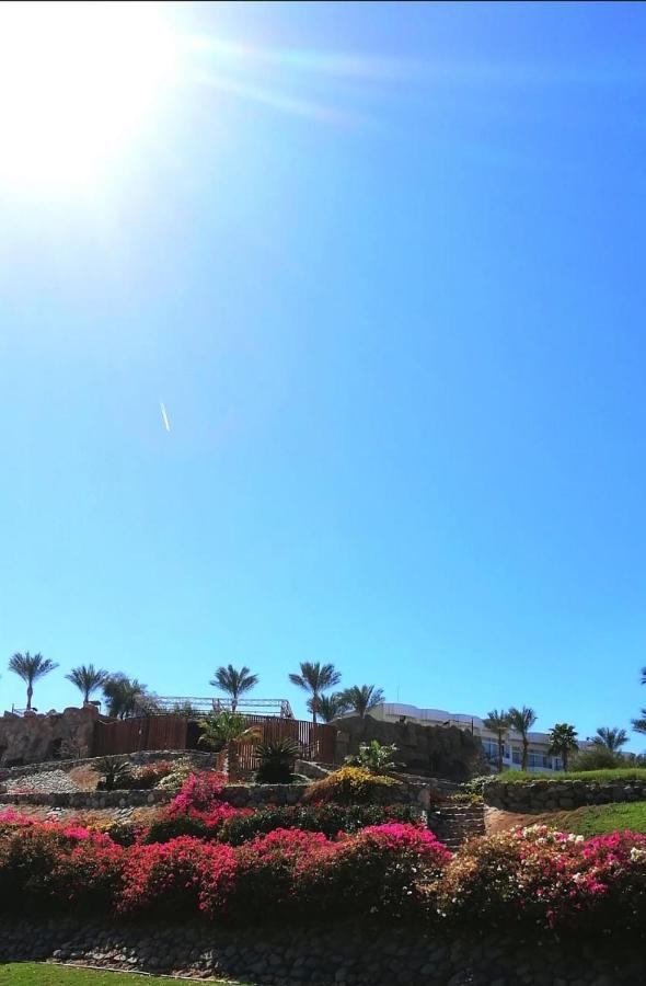 Queen Sharm Italian Club Esterno foto